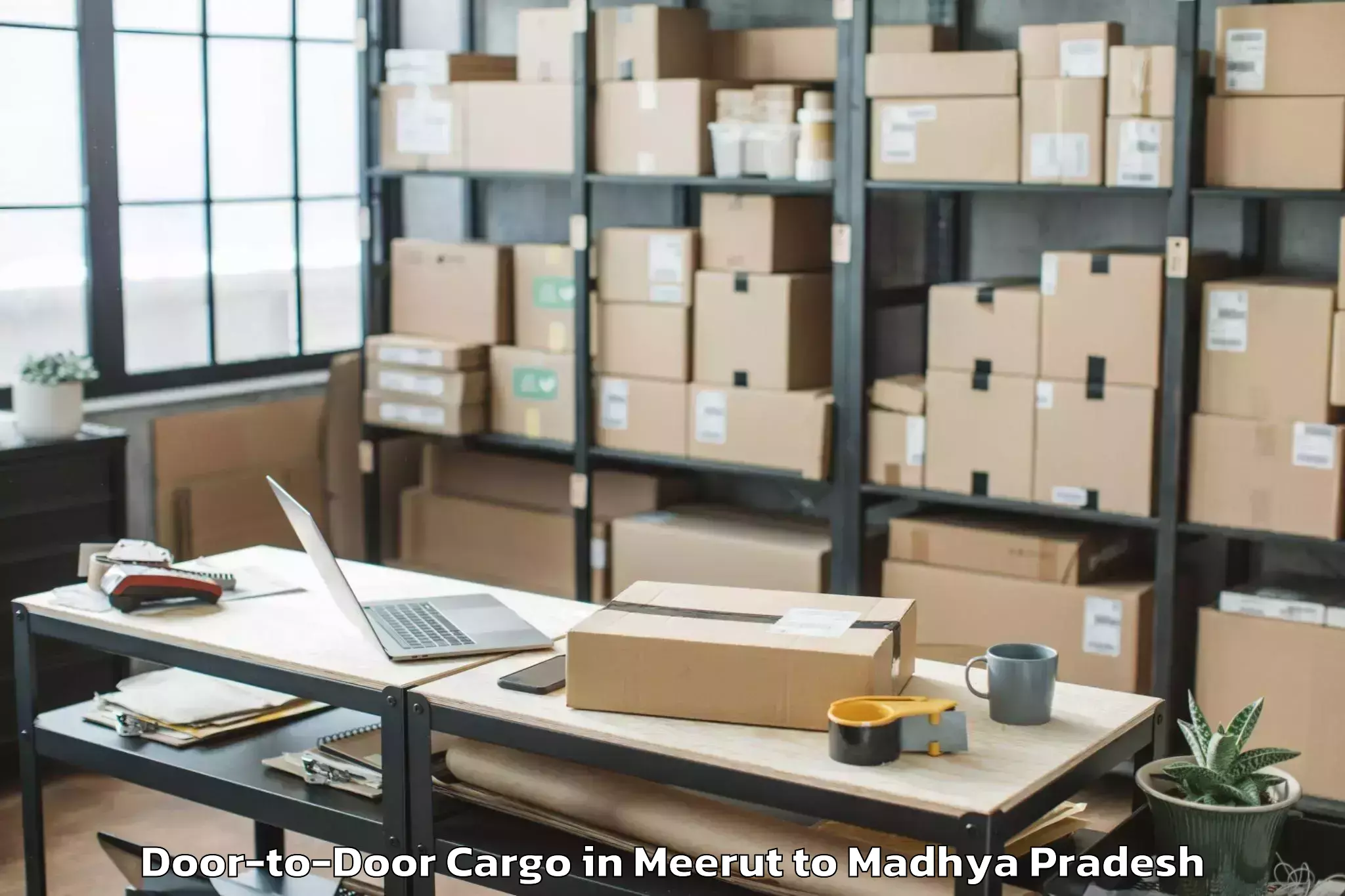 Meerut to Aron Door To Door Cargo